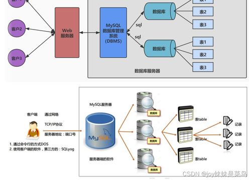 数据库概览与MySQL实战指南 数据处理与存储服务解析