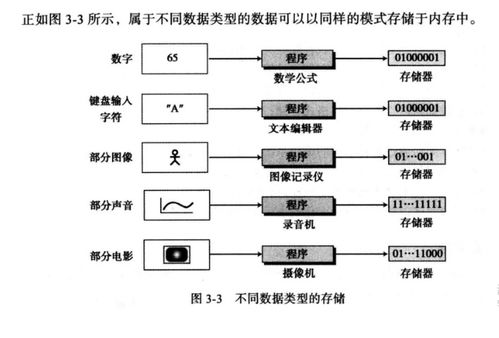数据存储 现代数据处理与存储服务的核心价值与应用