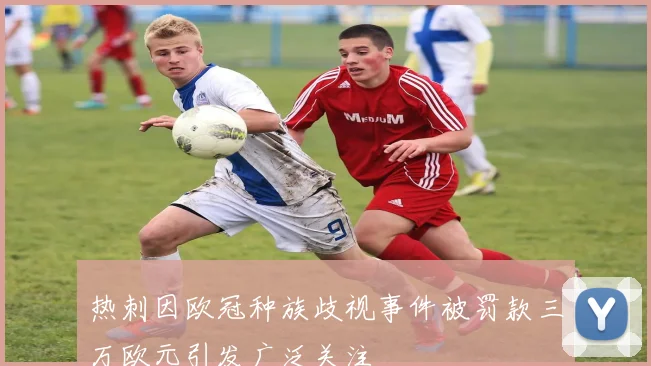 热刺因欧冠种族歧视事件被罚款三万欧元引发广泛关注
